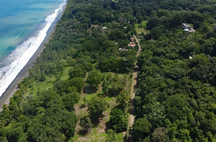 Pilon-walk-to-surf-lot