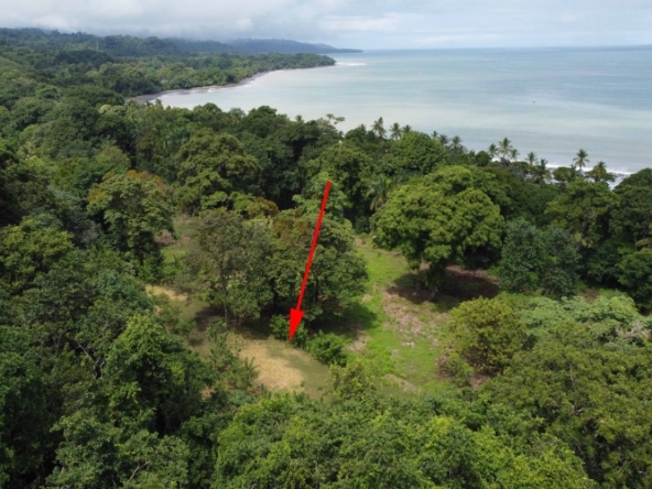 Pilon-walk-to-surf-lot