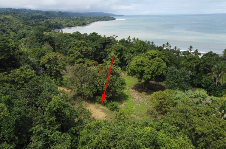 Pilon-walk-to-surf-lot