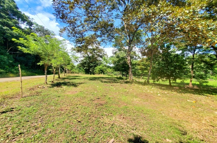 Pilon-walk-to-surf-lot