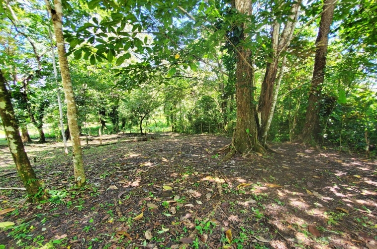 Pilon-walk-to-surf-lot