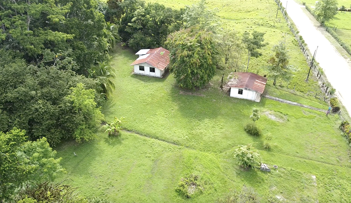 casas-árbol-grande-costa-rica-for-sale