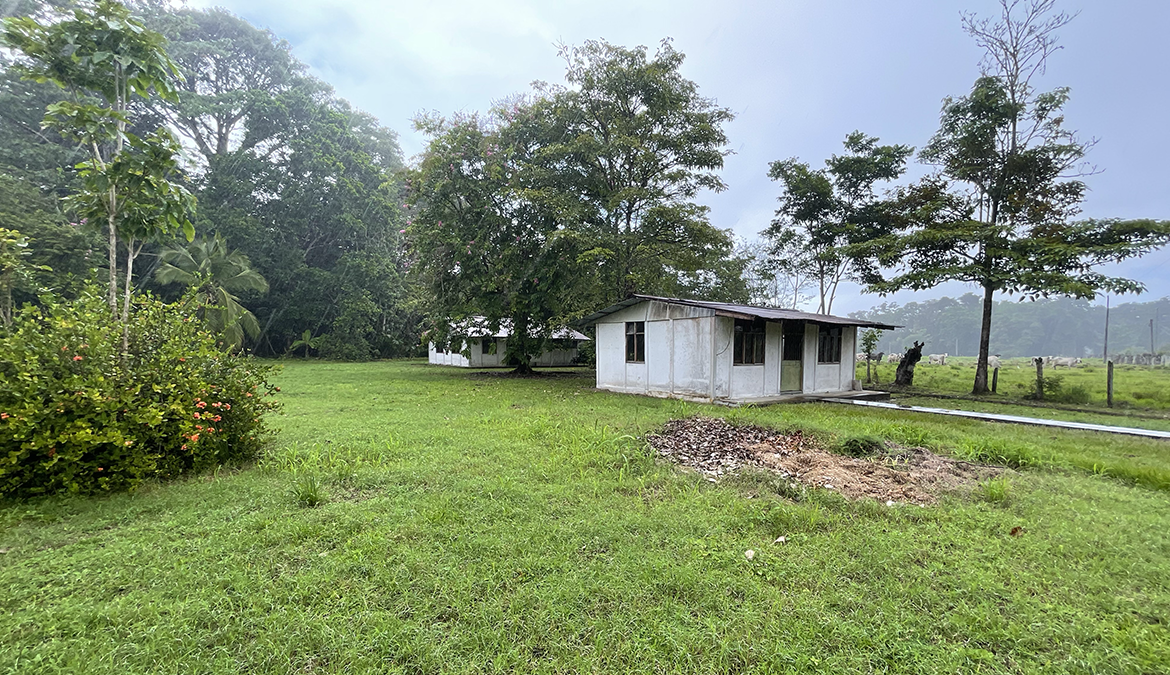 casas-árbol-grande-costa-rica-for-sale