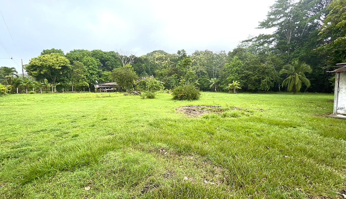 casas-árbol-grande-costa-rica-for-sale