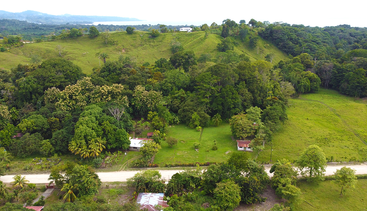 casas-árbol-grande-costa-rica-for-sale