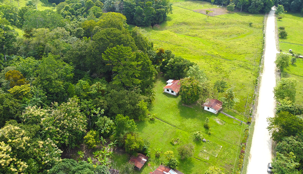 casas-árbol-grande-costa-rica-for-sale