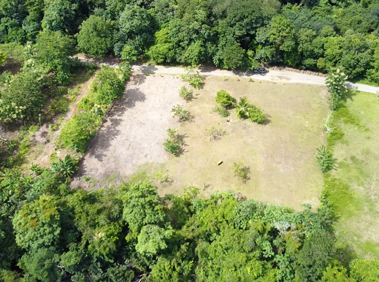 langostino-beach-lot-costa-rica-for-sale