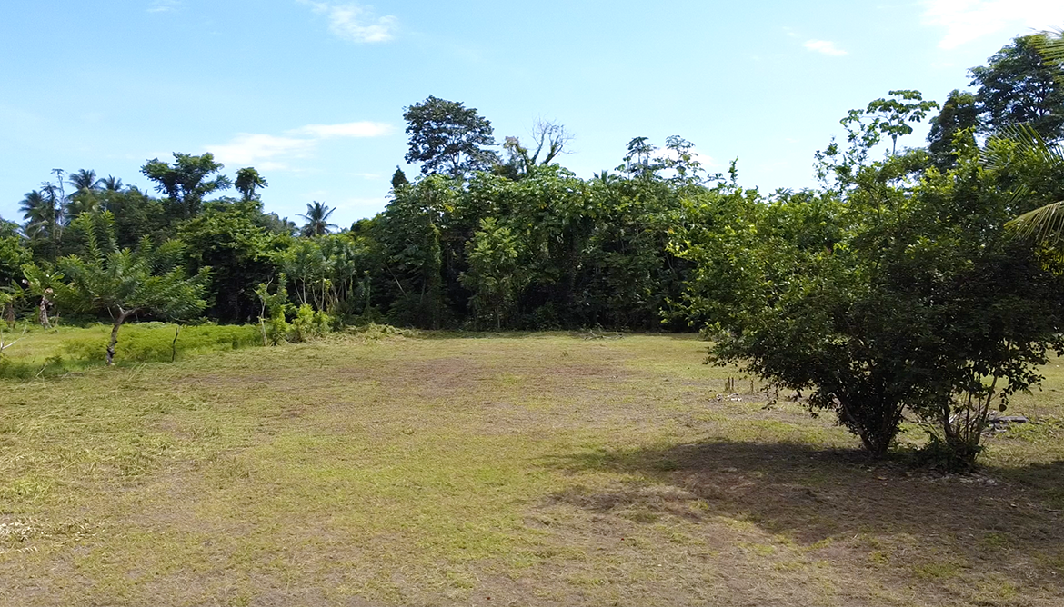 langostino-beach-lot-costa-rica-for-sale