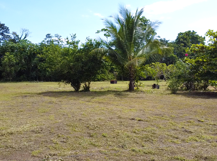 langostino-beach-lot-costa-rica-for-sale