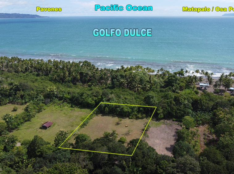 langostino-beach-lot-costa-rica-for-sale