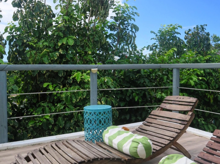 rincon-surf-club-puerto-rico