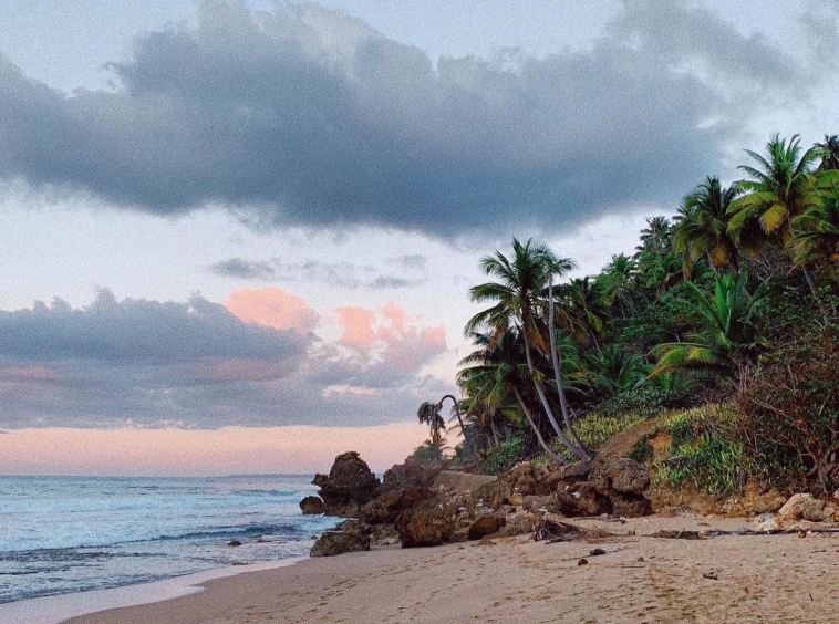 rincon-surf-club-puerto-rico