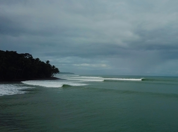 pilon-surf-infinity-jungle-lounge