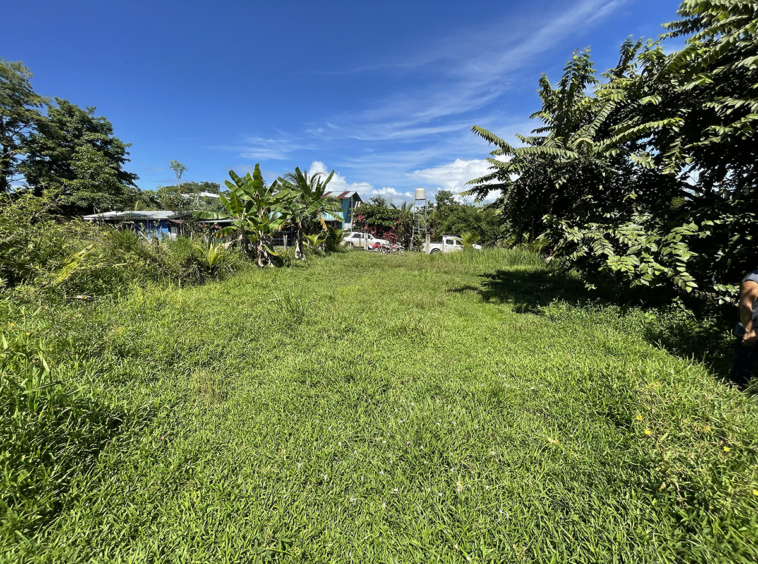 pavones-2640-lot-for-sale