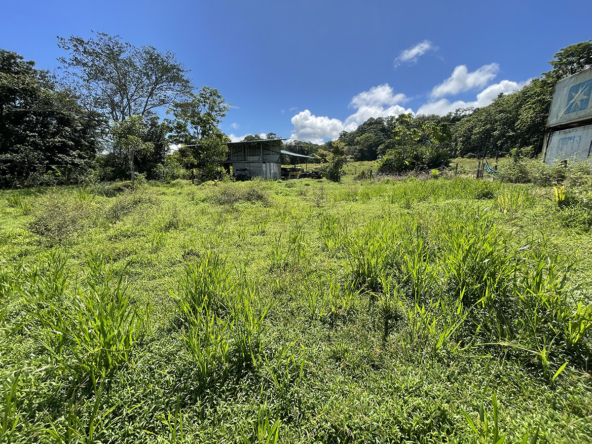 pavones-2640-lot-for-sale