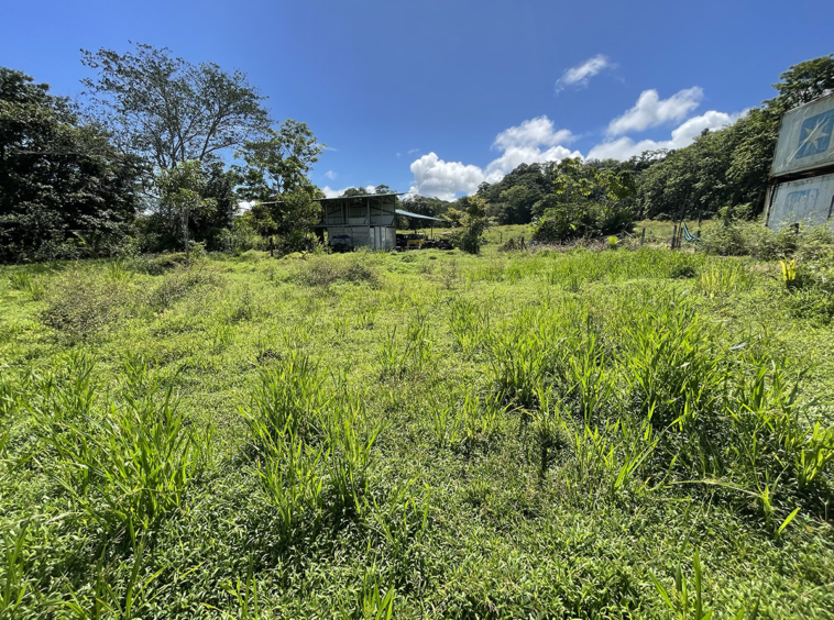 pavones-2640-lot-for-sale