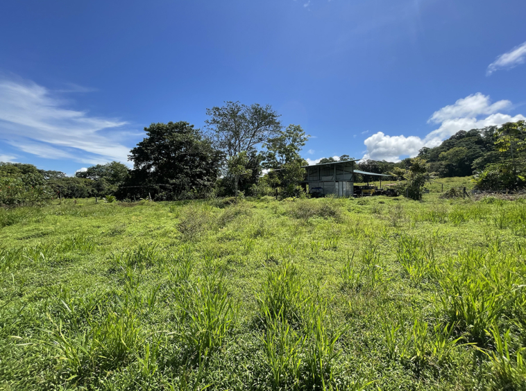 pavones-2640-lot-for-sale