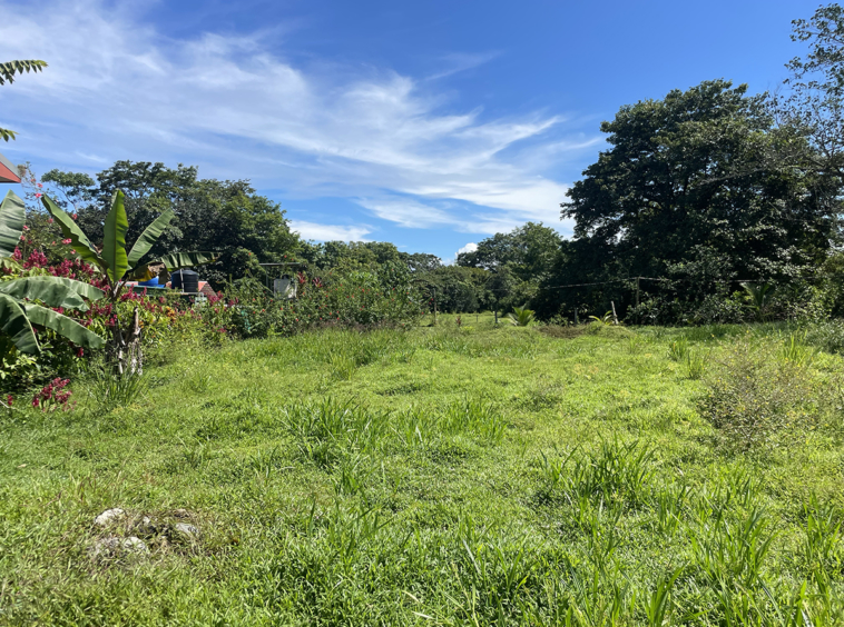 pavones-2640-lot-for-sale