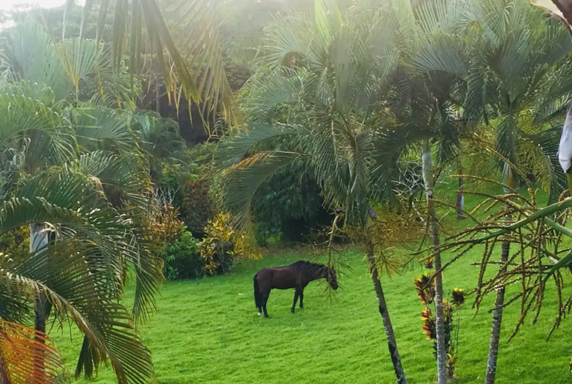 infinity_jungle_lounge_costa_rica_vacation_rental