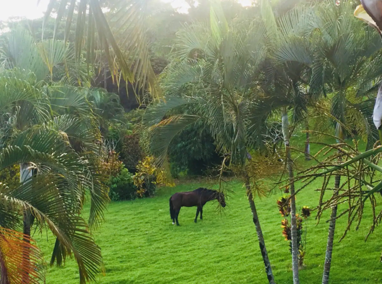 infinity_jungle_lounge_costa_rica_vacation_rental