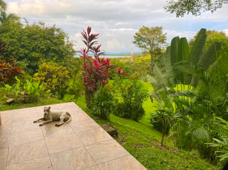 infinity_jungle_lounge_costa_rica_vacation_rental
