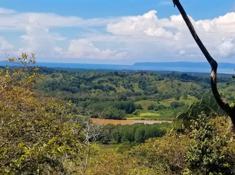 rio-coto-property-23-hectares