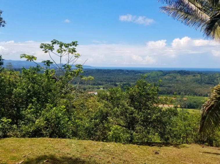 rio-coto-property-23-hectares