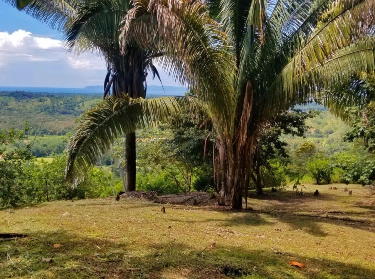 rio-coto-property-23-hectares