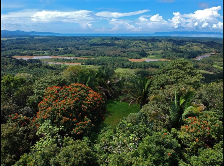 rio-coto-property-23-hectares