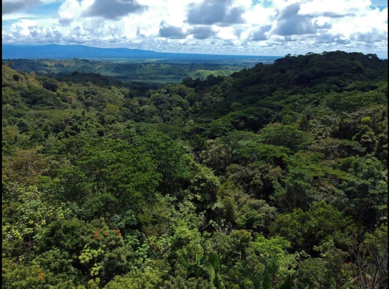 rio-coto-property-23-hectares