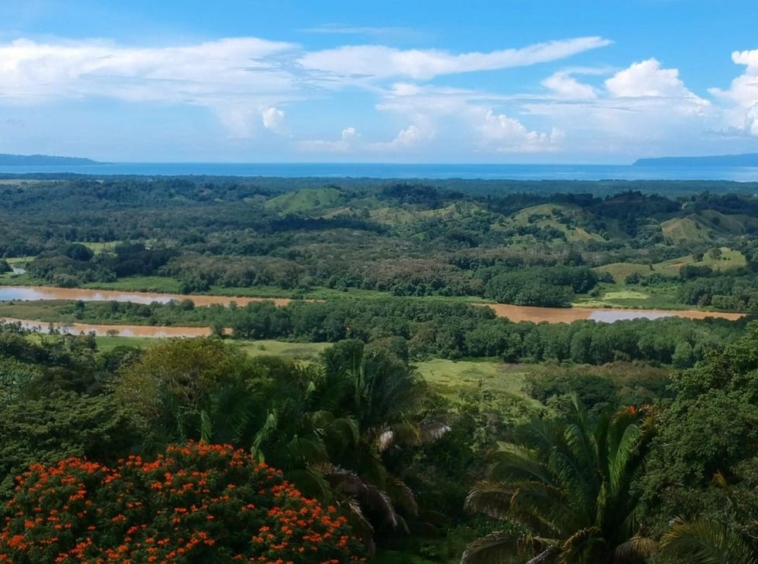 rio-coto-property-23-hectares