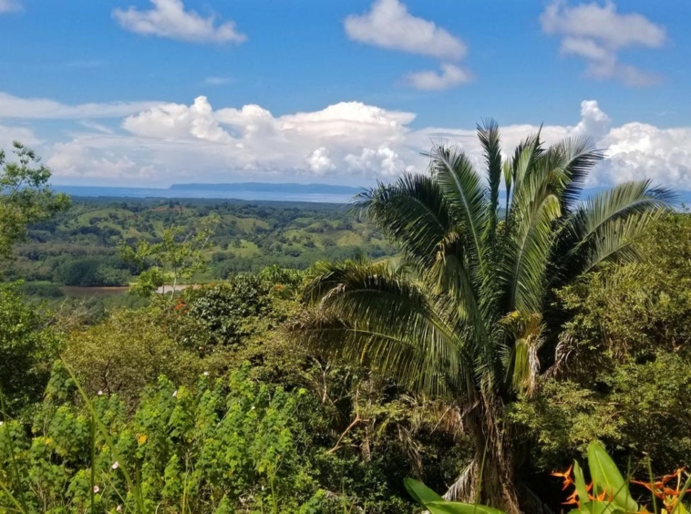 rio-coto-property-23-hectares