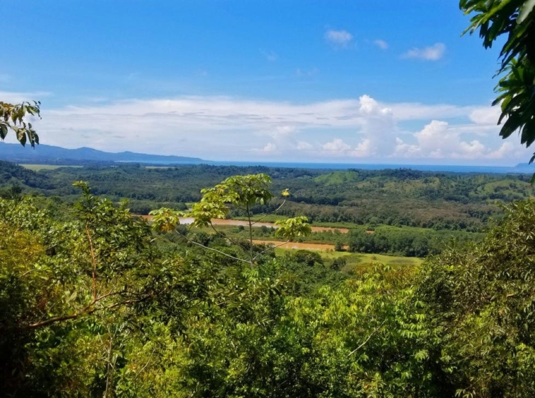 rio-coto-property-23-hectares