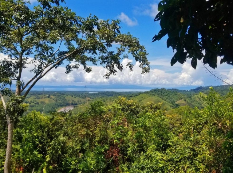 rio-coto-property-23-hectares