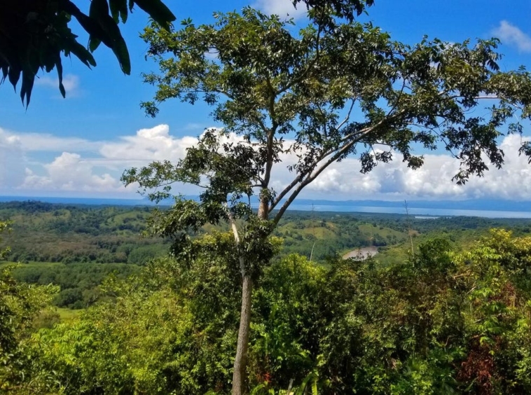 rio-coto-property-23-hectares