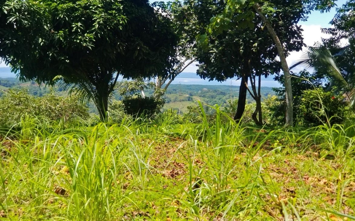 rio-coto-property-23-hectares