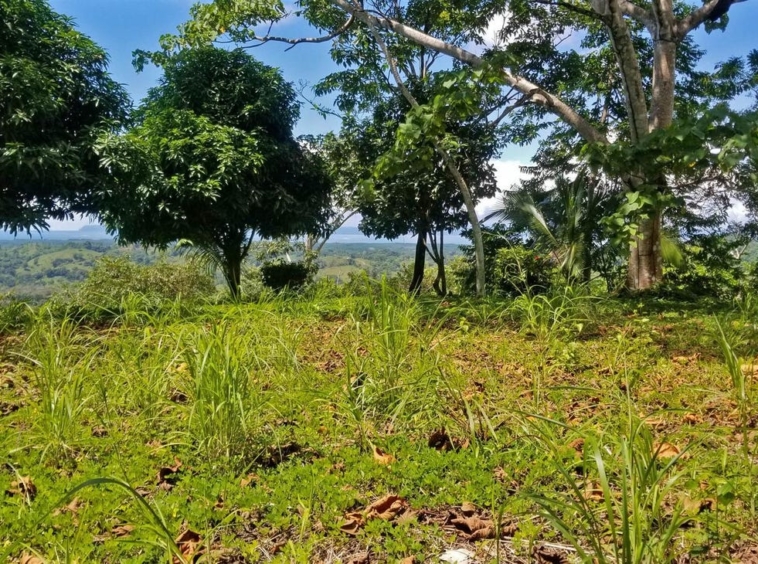 rio-coto-property-23-hectares