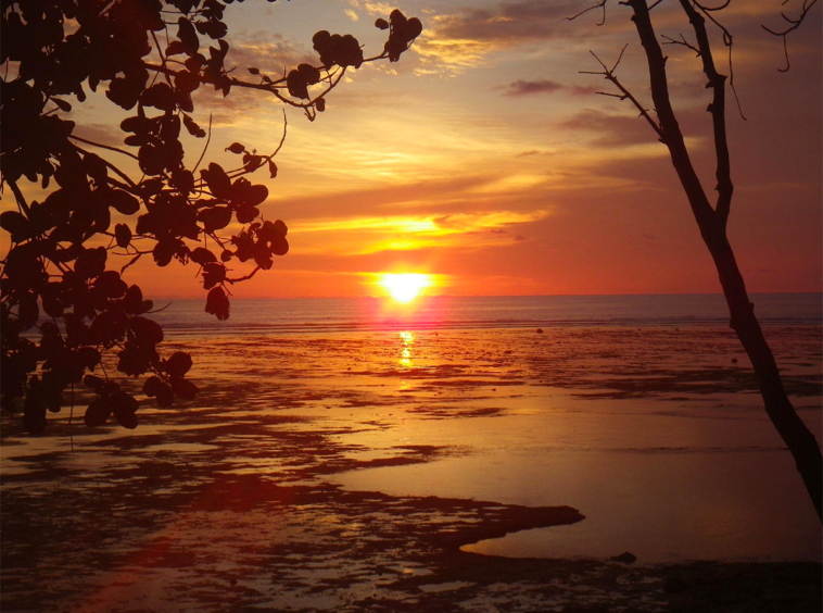 sunset-trees-sumatra-surf-resort-for-sale