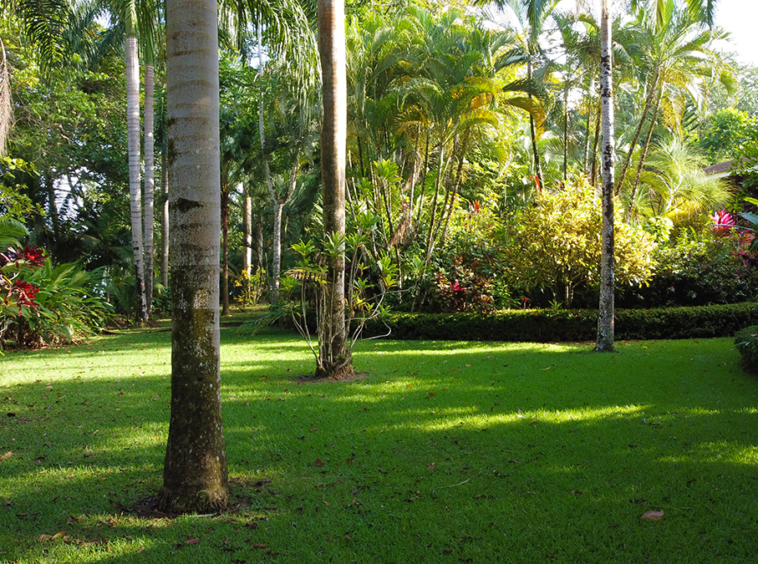 salea-surf-house-pavones-costa-rica