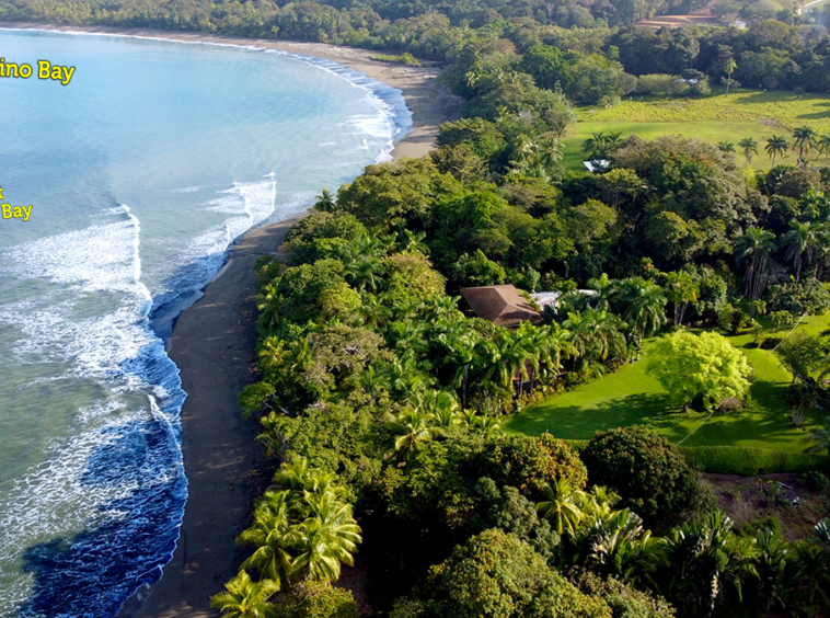 salea-surf-house-pavones-costa-rica