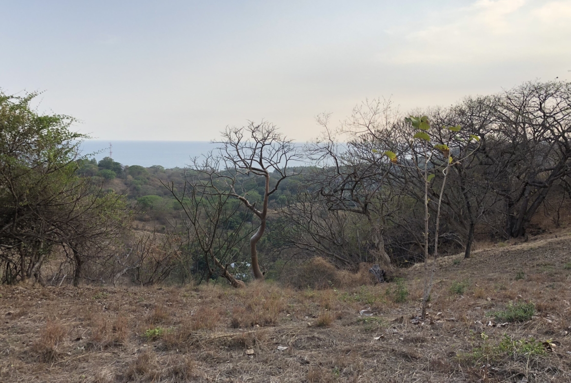 tamanique-ocean-view-lot-el-salvador