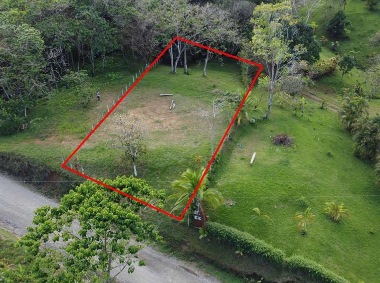 pavones-el-toucan-lot