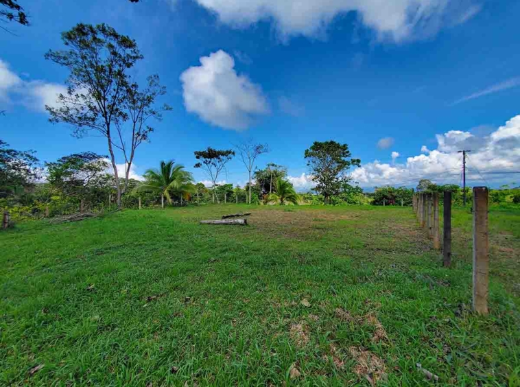 pavones-el-toucan-lot