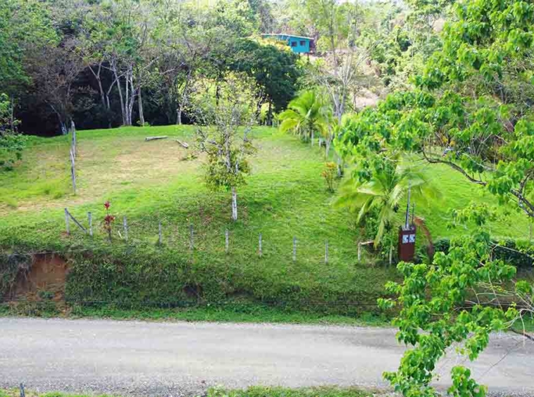 pavones-el-toucan-lot