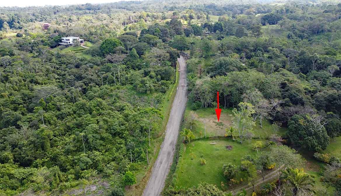 pavones-el-toucan-lot