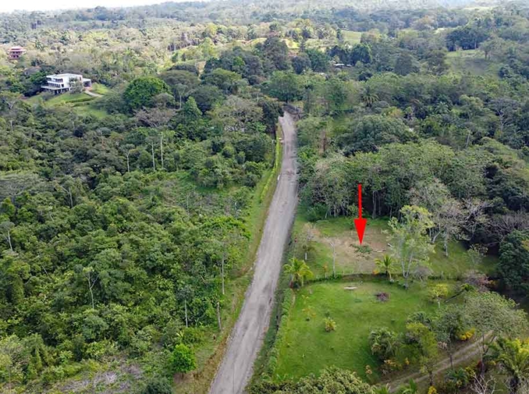 pavones-el-toucan-lot
