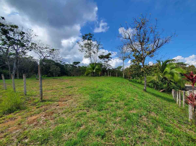 pavones-el-toucan-lot
