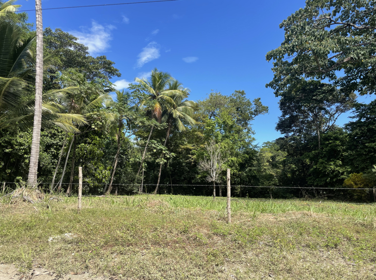 Playa-Zancudo-Arena-Alta-Lot-1526-M2