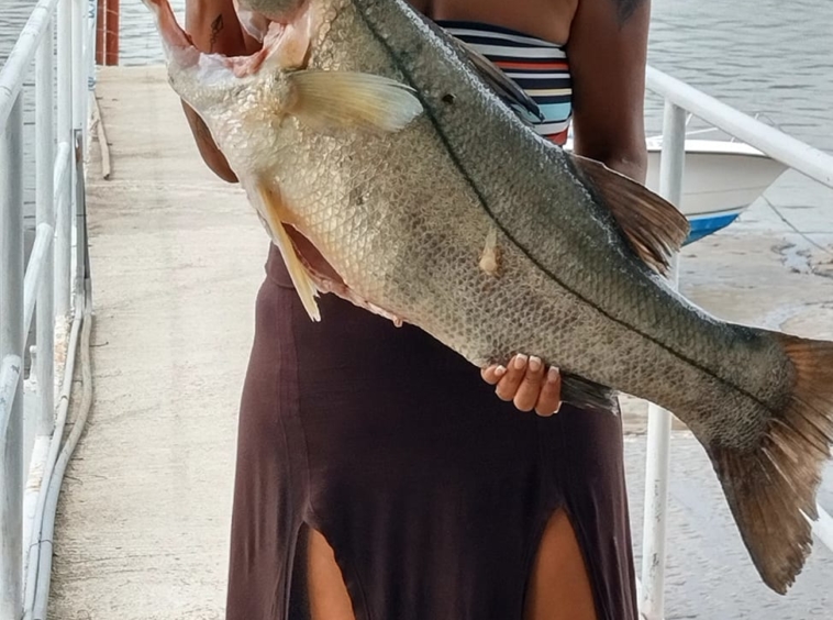 pana-home-playa-zancudo