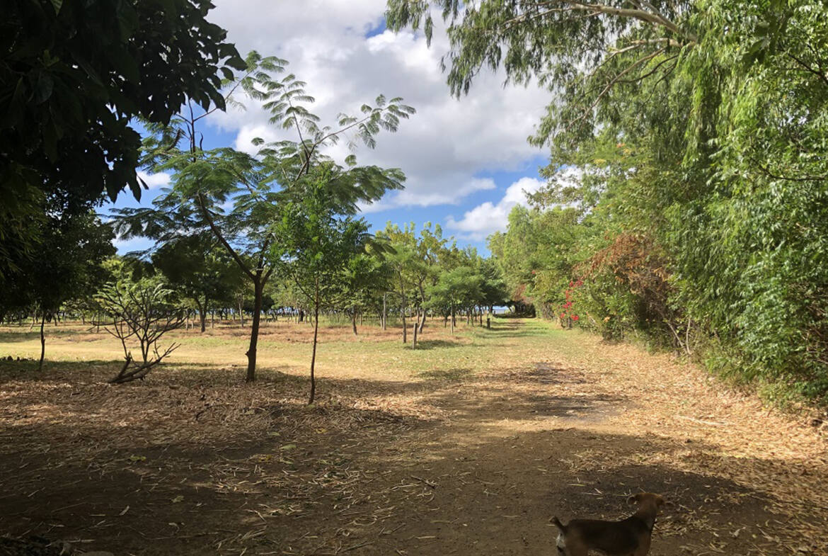 rancho-anthony-nicaragua-for-sale